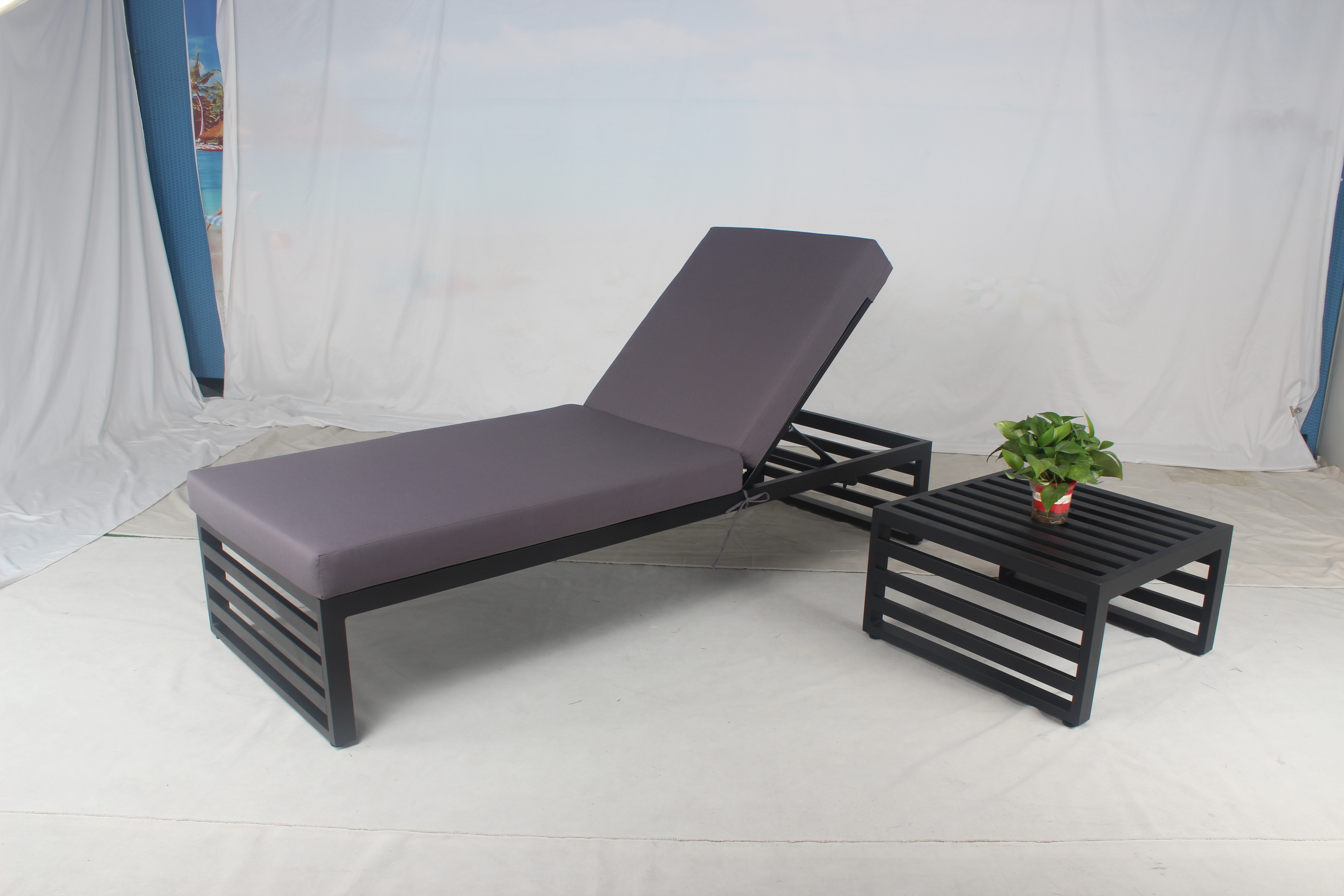 N-204-11 单人躺床CF2838L (7)